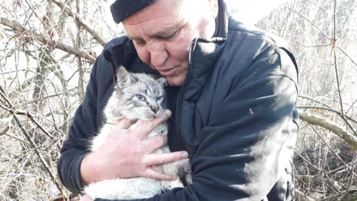 Pompierii militari ISU Sibiu, cursă contracronometru pentru salvarea unei pisicuțe 